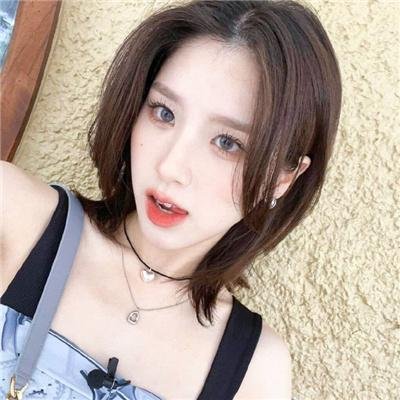 花园蜘蛛